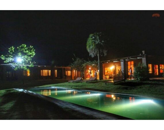 Argentina , Golden Dorado