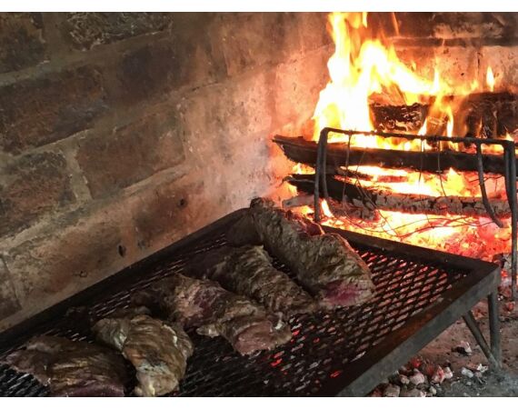 Argentina , Golden Dorado