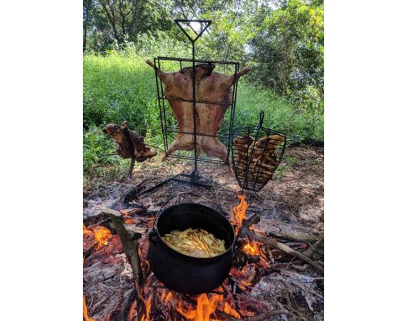 Argentina , Golden Dorado