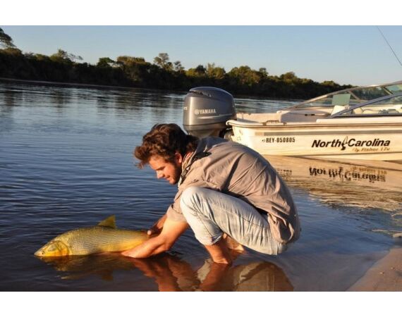 Argentina , Golden Dorado