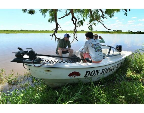 Argentina , Golden Dorado