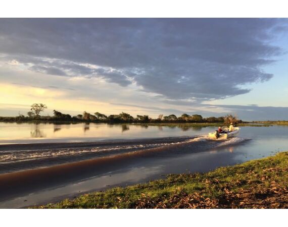 Argentina , Golden Dorado