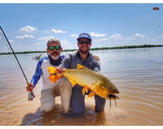 Argentina , Golden Dorado