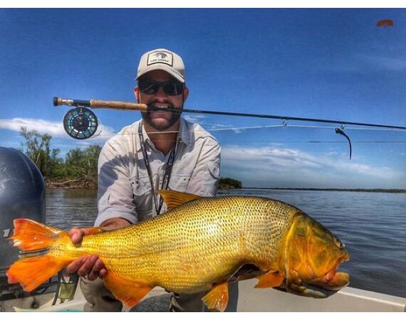 Argentina , Golden Dorado