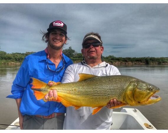 Argentina , Golden Dorado