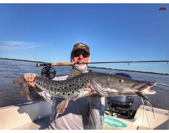 Argentina , Golden Dorado