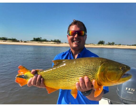 Argentina , Golden Dorado