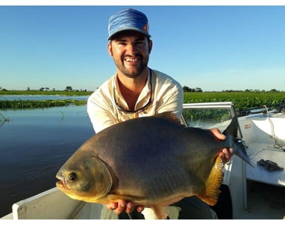 Argentina , Golden Dorado