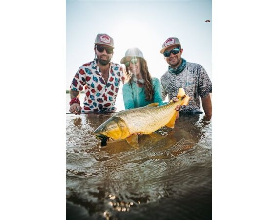 Argentina , Golden Dorado