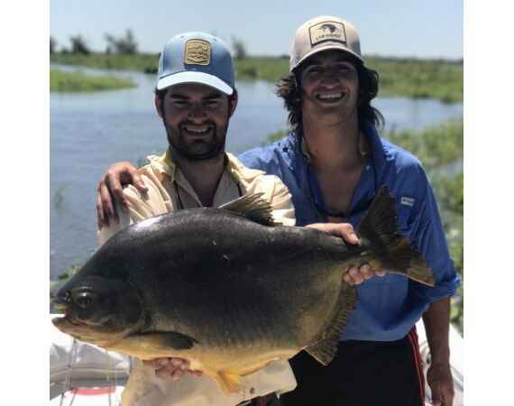 Argentina , Golden Dorado