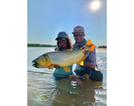 Argentina , Golden Dorado