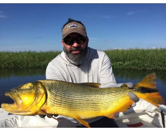 Argentina , Golden Dorado