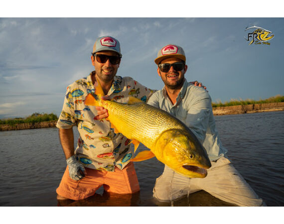 Argentina , Golden Dorado