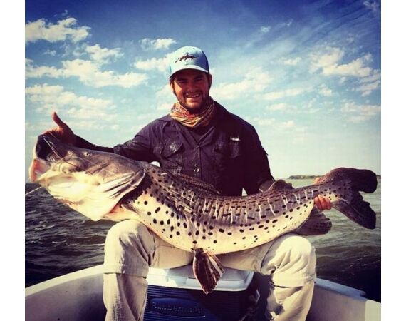 Argentina , Golden Dorado