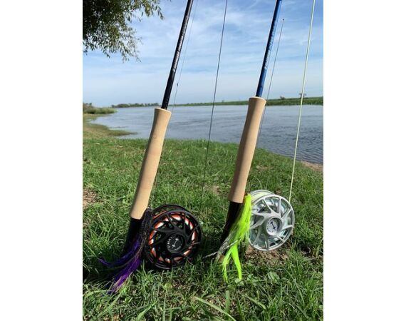 Argentina , Golden Dorado