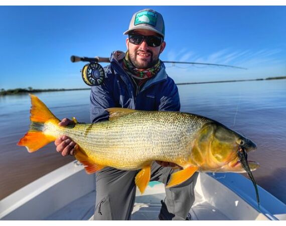 Argentina , Golden Dorado