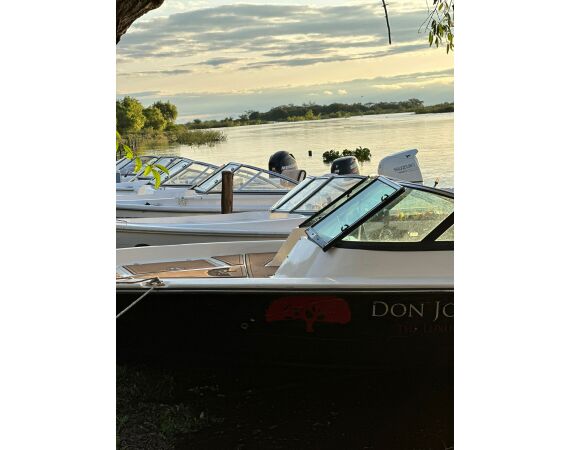 Argentina , Golden Dorado