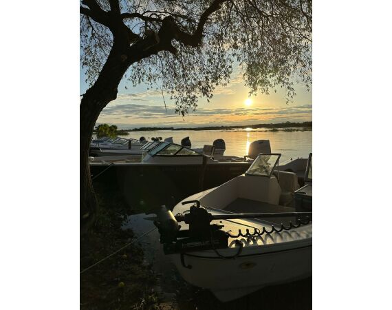 Argentina , Golden Dorado