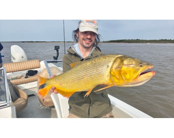 Argentina , Golden Dorado