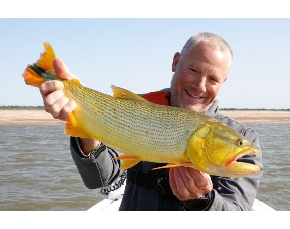 Argentina , Golden Dorado