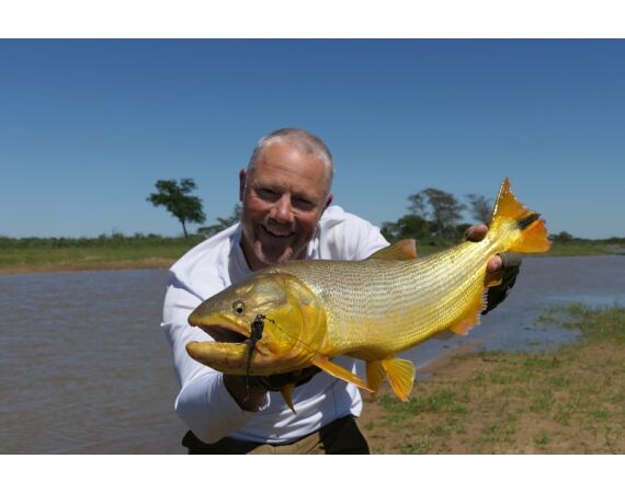 Argentina , Golden Dorado