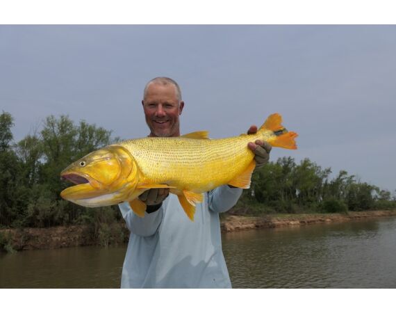 Argentina , Golden Dorado