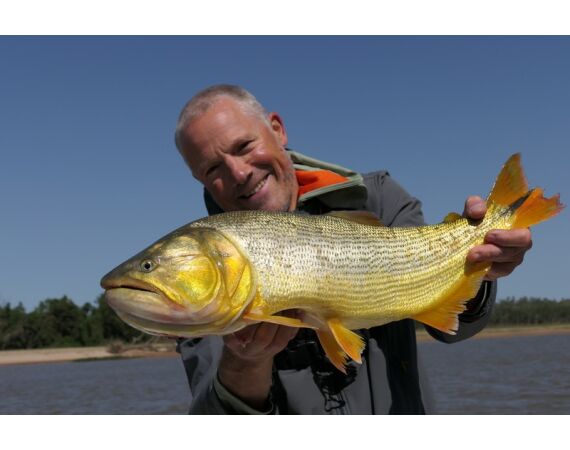Argentina , Golden Dorado