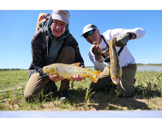 Argentina , Golden Dorado