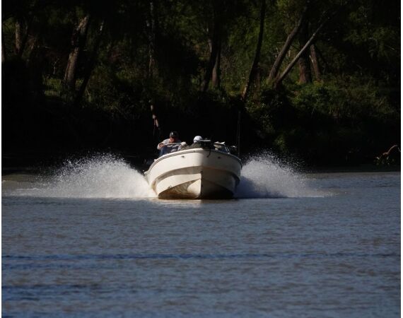 Argentina , Golden Dorado