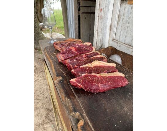 Argentina , Golden Dorado