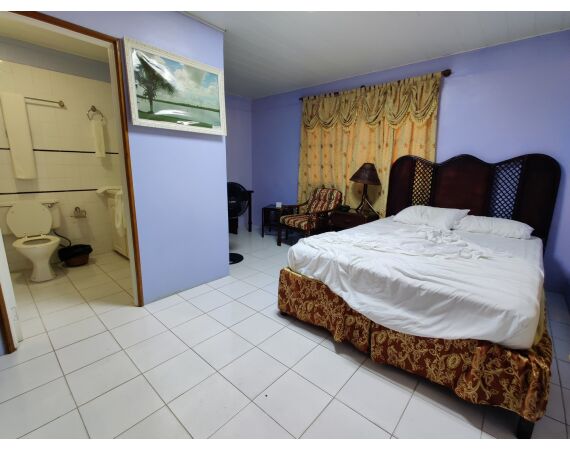 Amazone Guyana oct 2026