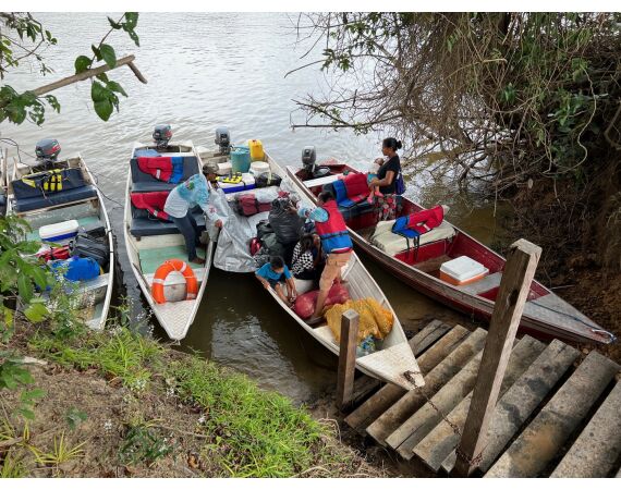 Amazone Guyana oct 2026