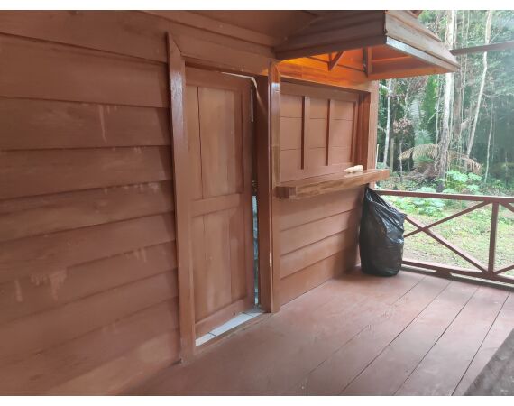 Amazone Guyana oct 2026