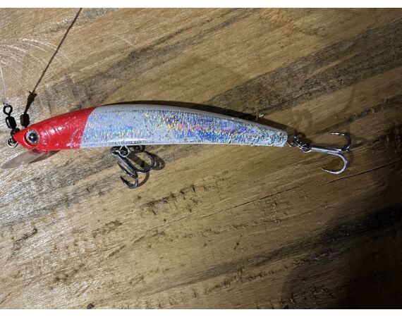 Amazone Guyana oct 2026