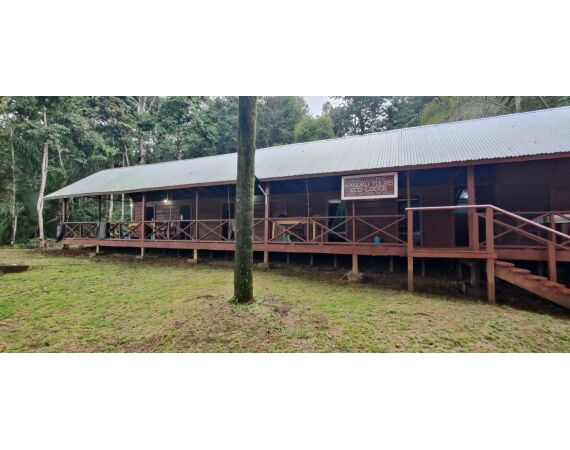 Amazone Guyana oct 2026