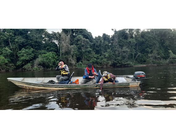 Amazone Guyana oct 2026