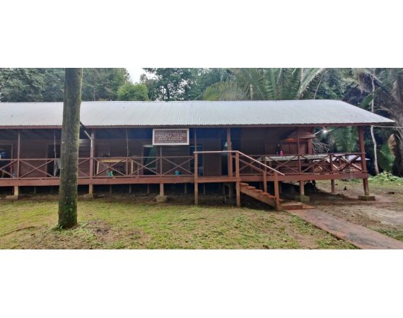 Amazone Guyana oct 2026