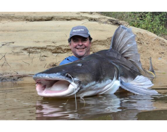 Amazone Guyana oct 2026