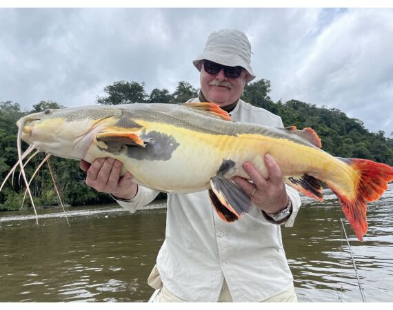 Amazone Guyana oct 2026