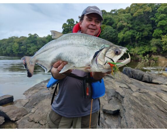 Amazone Guyana oct 2026