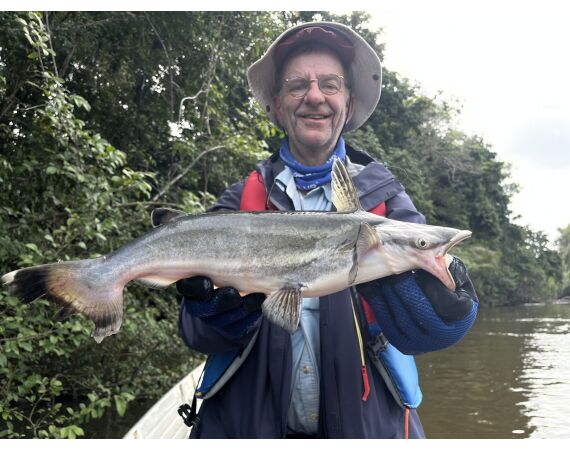 Amazone Guyana oct 2026