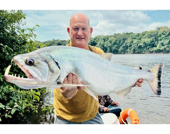 Amazone Guyana oct 2026