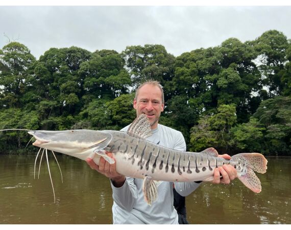 Amazone Guyana oct 2026