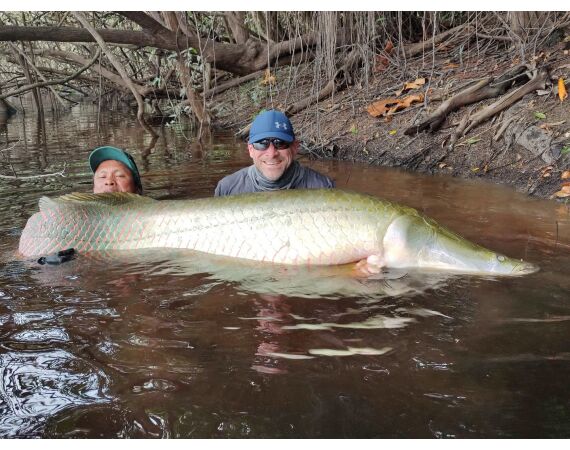 Amazone Guyana oct 2026