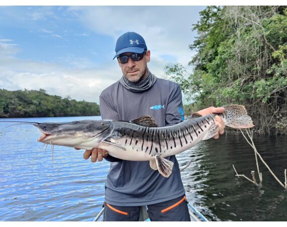 Amazone Guyana oct 2026