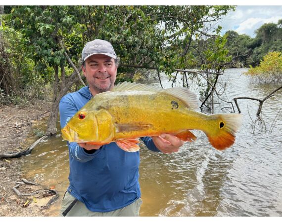 Amazone Guyana oct 2026