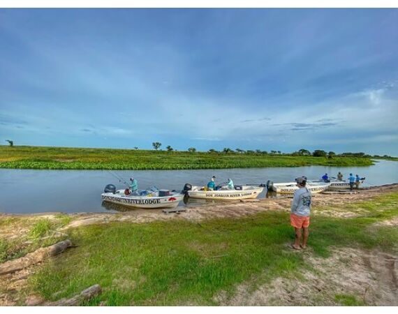 Argentina, Golden Dorado okt 2026