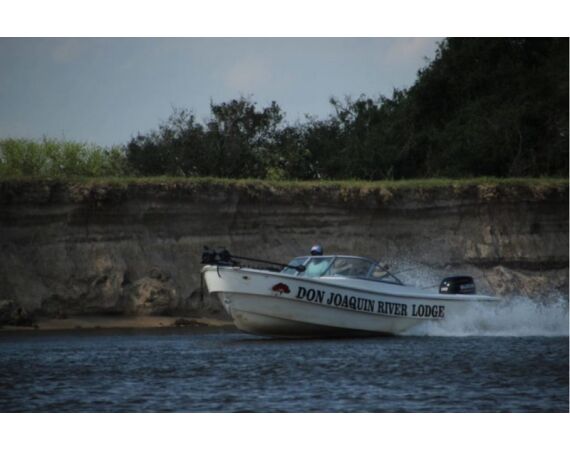 Argentina, Golden Dorado okt 2026