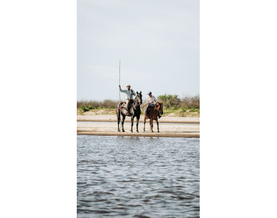 Argentina, Golden Dorado okt 2026