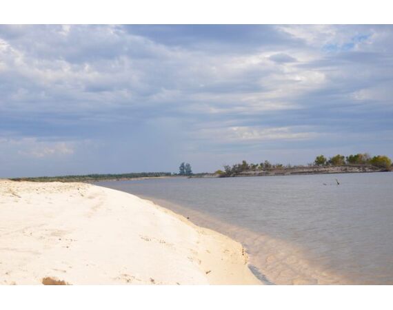 Argentina, Golden Dorado okt 2026